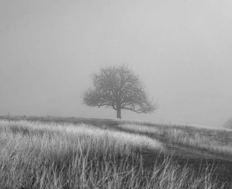 Suprema Marketing Atelier Miami